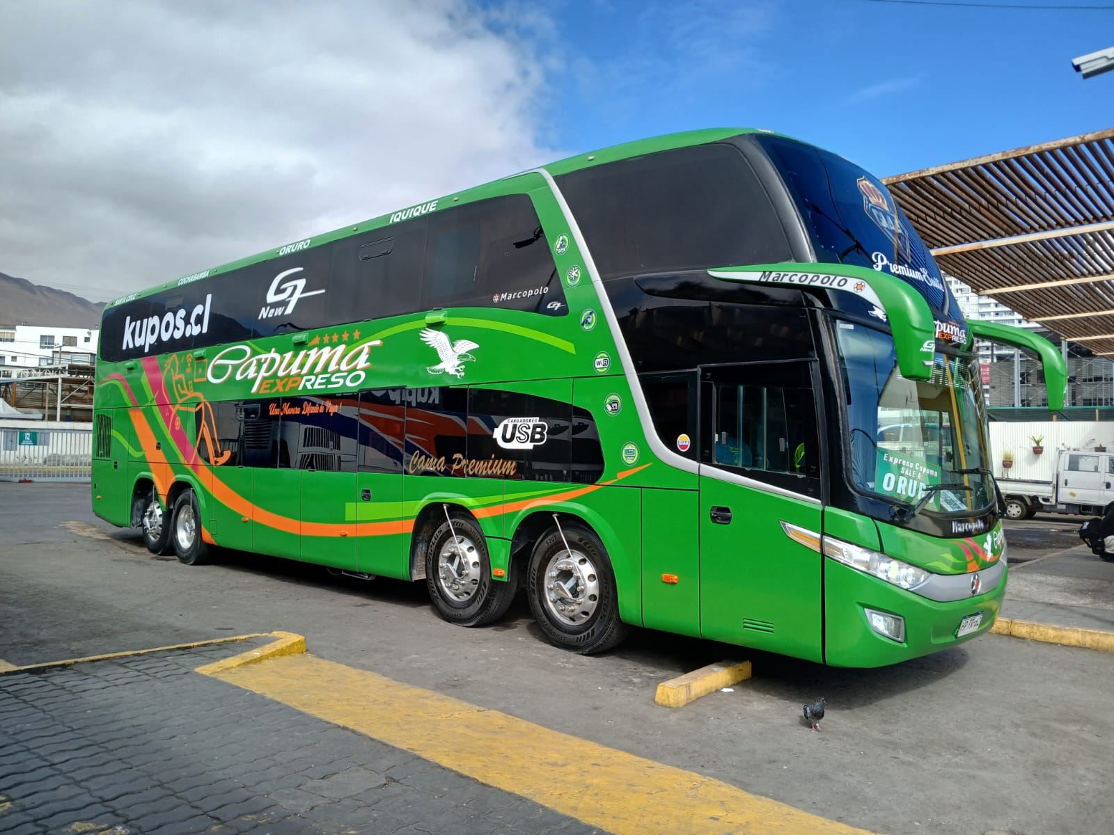 Bus Expreso Capuma unidad 6